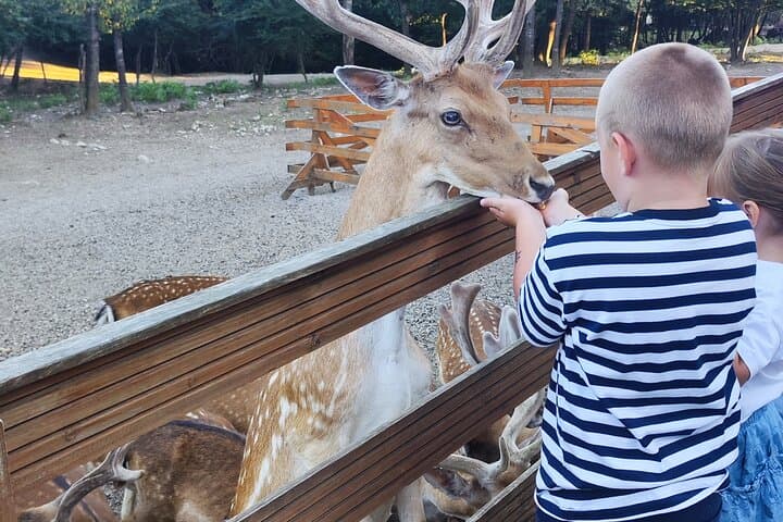 day-trip-from-zagreb-to-plitvice-lakes-and-deer-ranch photo 6