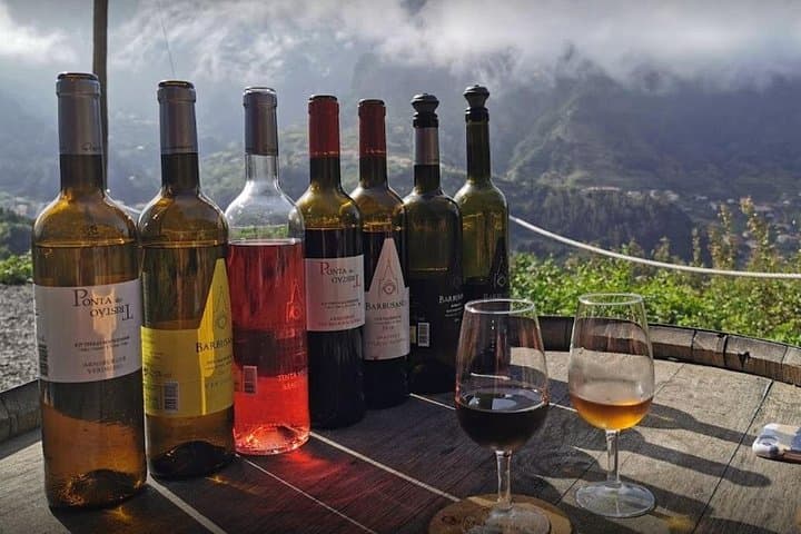 Sao Vicente Vineyard Visit and Traditional Lunch — Madeira Wine, Espetada & Coastal Views photo 4