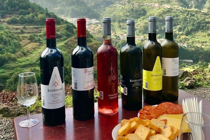 Sao Vicente Vineyard Visit and Traditional Lunch — Madeira Wine, Espetada & Coastal Views photo 3