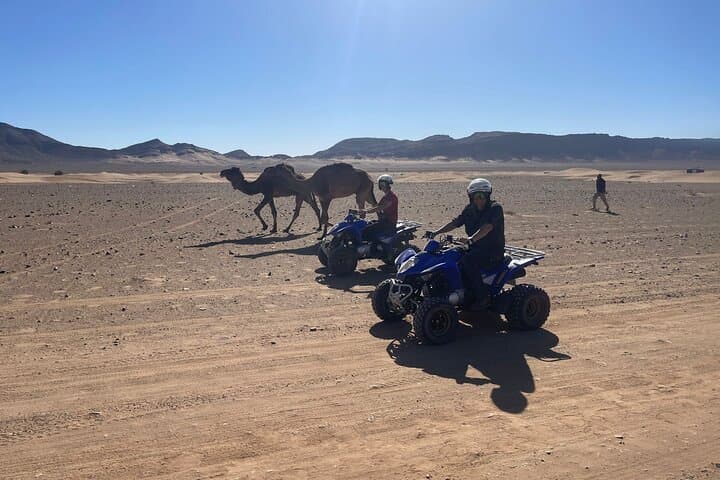 Zagora Quad Excursion: 1-Hour Dune & Oasis Quad Ride in Southern Morocco photo 4