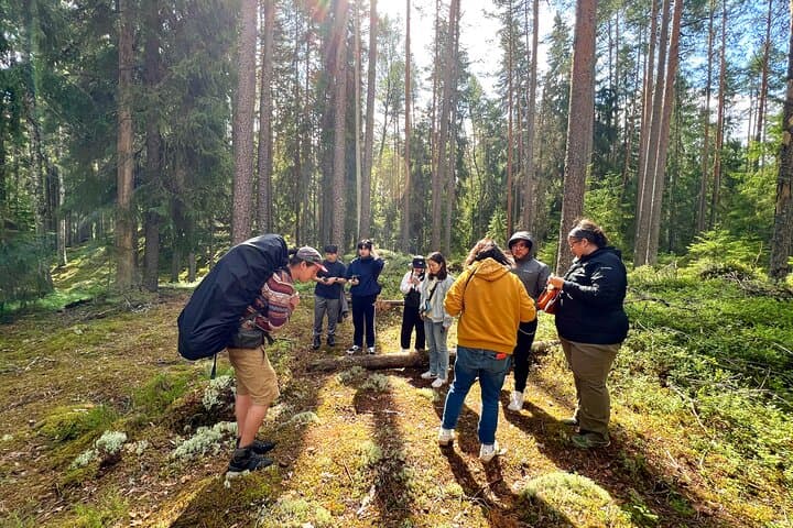 Mushroom Hunting in Liesjärvi National Park — Chanterelle Foraging from Helsinki