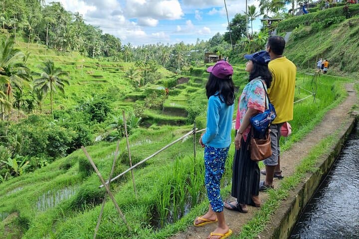 Private Customizable Bali Day Tour with Driver-Guide — Ubud Pickup Included photo 3