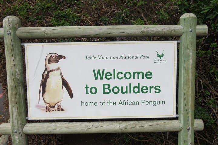Private Full-Day: Table Mountain, Boulders Beach & Cape Point photo 4
