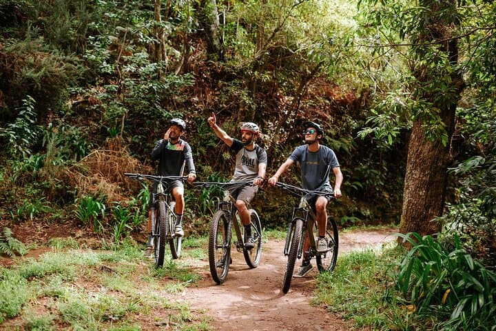 Guided Electric Mountain Bike Tour in Madeira — Camacha to Coast E‑Bike Adventure