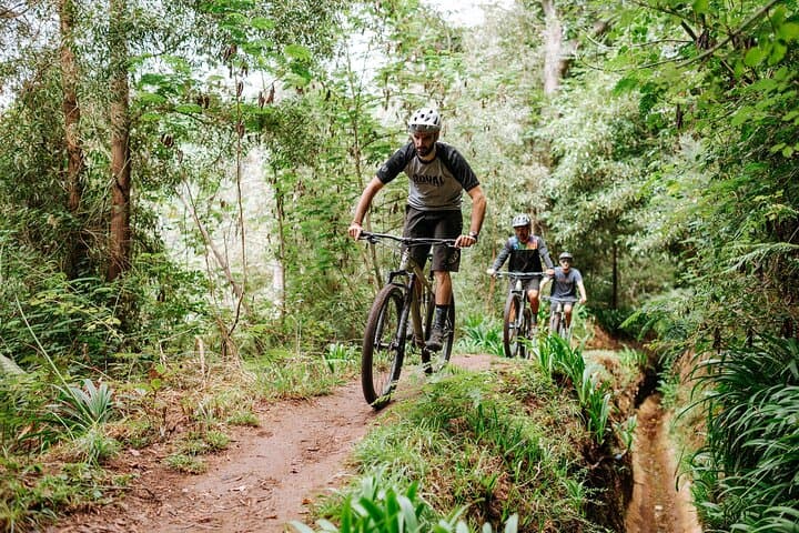 Guided Electric Mountain Bike Tour in Madeira — Camacha to Coast E‑Bike Adventure photo 2