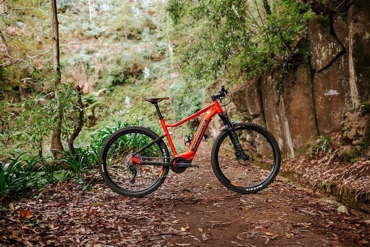 Guided Electric Mountain Bike Tour in Madeira — Camacha to Coast E‑Bike Adventure photo 3