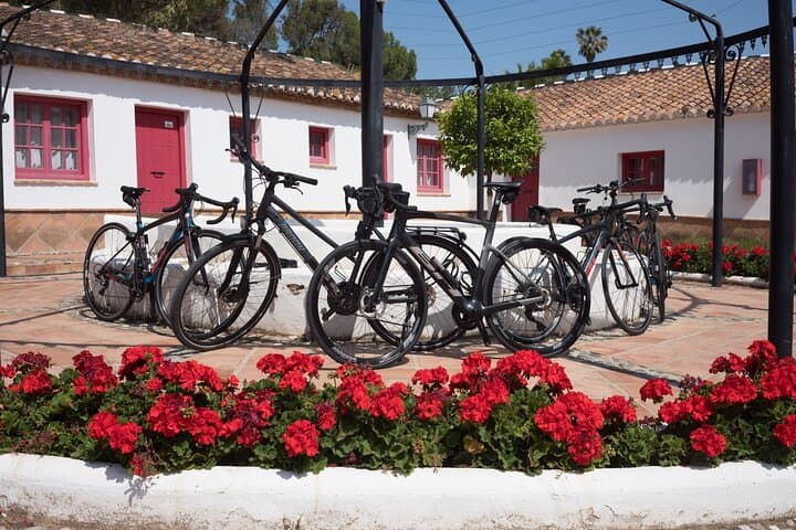 8-Day Guided Cycling and Walking Tour of Andalusia, Spain photo 2