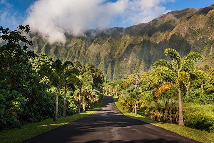 Oahu Cultural Food Slingshot Private Tour — 24-Hour Self-Drive Culinary Loop photo 6