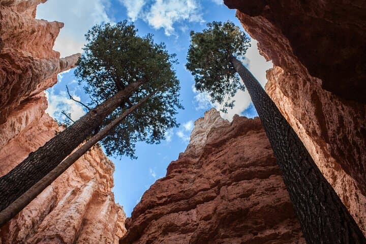 Bryce Canyon Full-Day Small-Group Hike — Sunrise, Hoodoos & Queen's Garden photo 2
