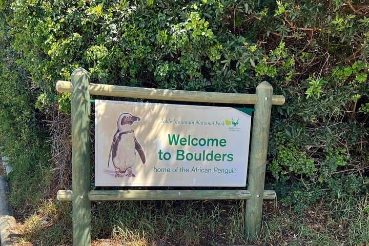Cape of Good Hope + Penguin Colony Day Expedition from Cape Town photo 1
