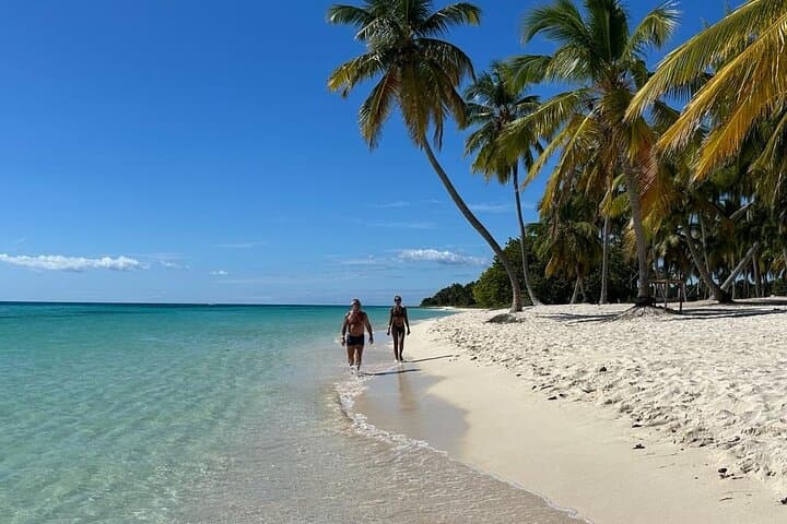 Saona Island Day Trip from La Romana — Snorkel, Natural Pool & Beach