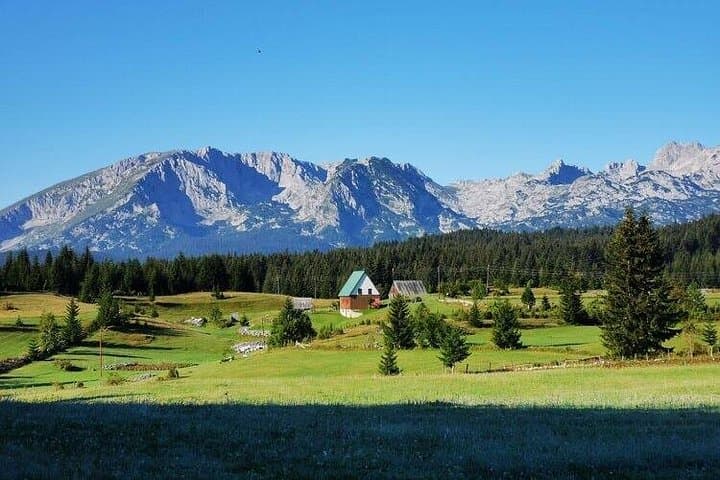 Northern Montenegro Day Tour: Tara Canyon, Durmitor & Biogradska Gora photo 4