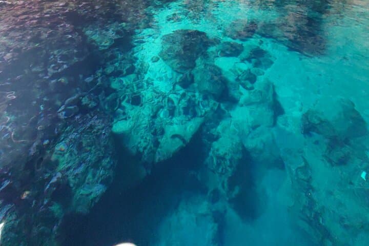 Private Speedboat to Sazan Island & Haxhi Aliu Cave — Half-Day from Vlorë photo 6