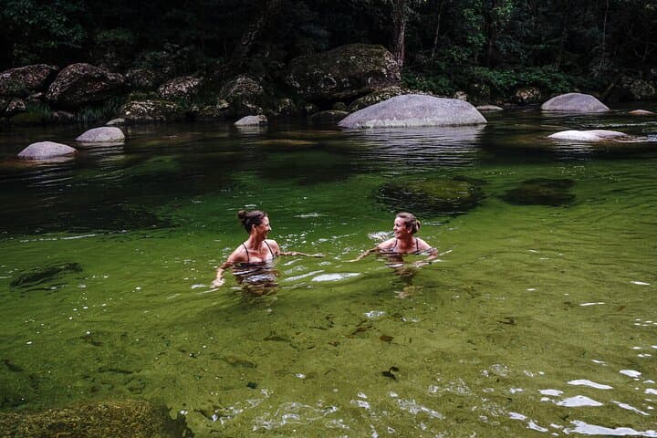 Port Douglas to Daintree Rainforest: Cruise Shore Excursion with River Wildlife Cruise photo 2
