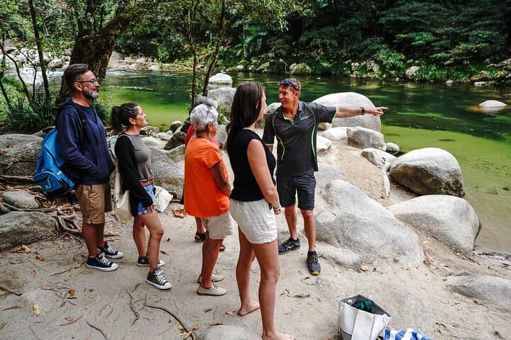 Half-Day Daintree River Cruise & Mossman Gorge Walk from Port Douglas
