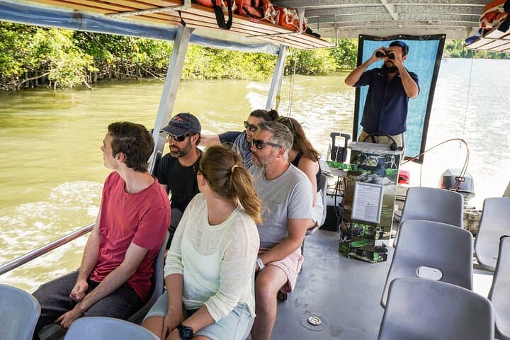 Half-Day Daintree River Cruise & Mossman Gorge Walk from Port Douglas photo 5