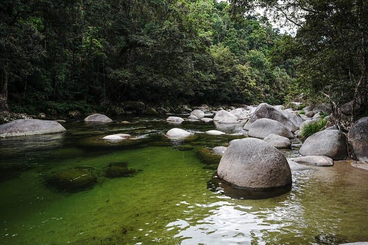 Daintree & Cape Tribulation Full-Day Rainforest and River Cruise from Port Douglas photo 5