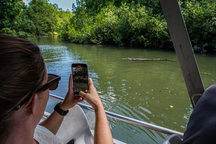 Half-Day Daintree River Cruise & Mossman Gorge Walk from Port Douglas photo 5