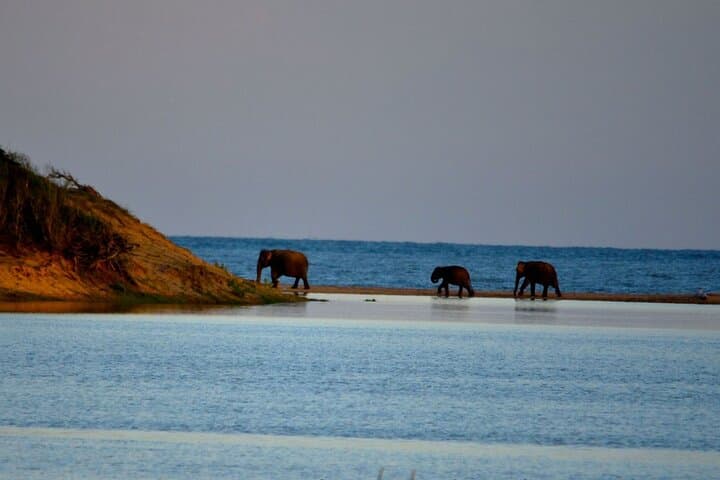 Sri Lanka Unveiled: 12-Night Complete Experience — Sigiriya, Hill Country, Yala & Coast photo 6