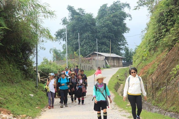 Full-Day Sapa Trekking in Muong Hoa Valley with Local H'mong Guide photo 5