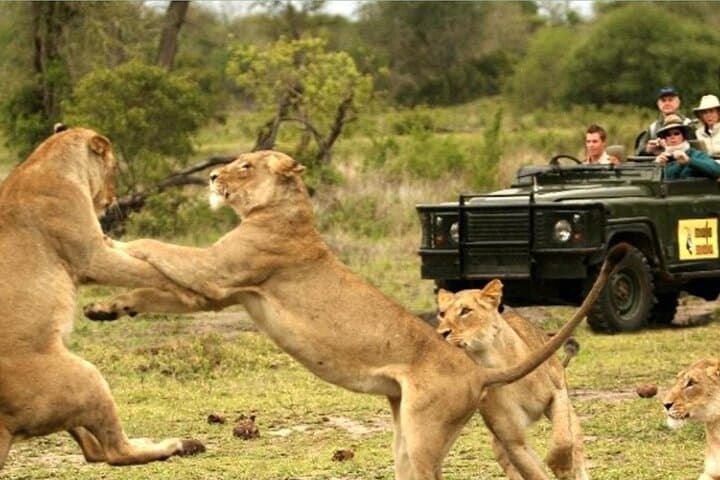 7-Day iSimangaliso, Hluhluwe & Drakensberg Safari from Durban photo 6