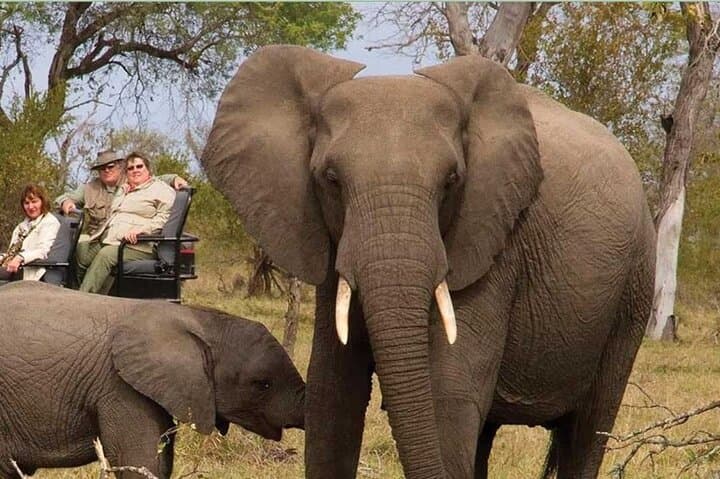 Garden Route Private Tour: 7-Day Durban to Cape Town Adventure