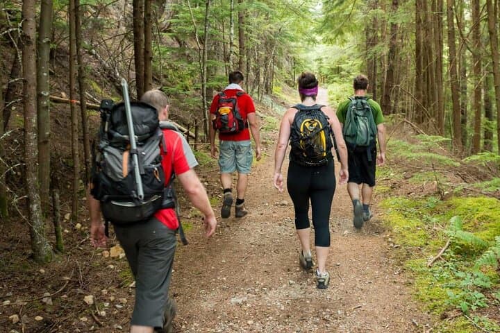 2-Day Tala Game Reserve and Drakensberg Hiking Trip from Durban photo 4