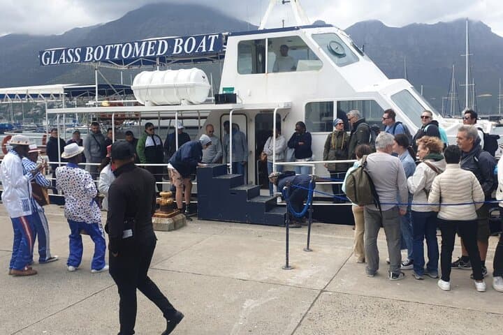 Cape Peninsula Day Trip: Penguins, Seals, Chapman’s Peak Drive & Constantia Wine Tasting photo 5