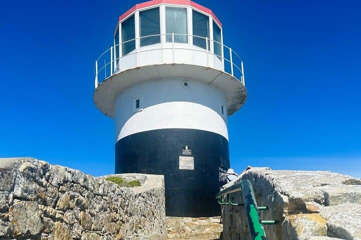 Cape Peninsula Day Trip: Penguins, Seals, Chapman’s Peak Drive & Constantia Wine Tasting photo 6