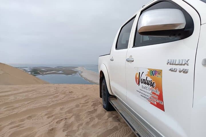 Sandwich Harbour Half-Day 4x4 Dune and Birdwatching Tour from Walvis Bay