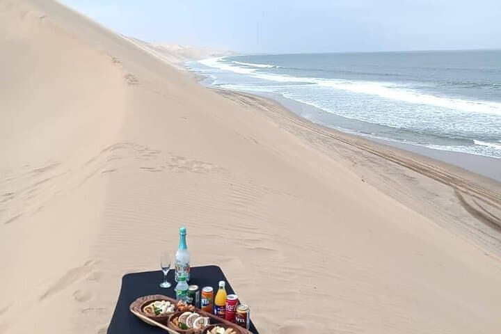 Sandwich Harbour Half-Day 4x4 Dune and Birdwatching Tour from Walvis Bay photo 3