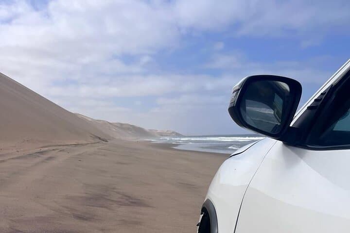 Sandwich Harbour Half-Day 4x4 Dune and Birdwatching Tour from Walvis Bay photo 6