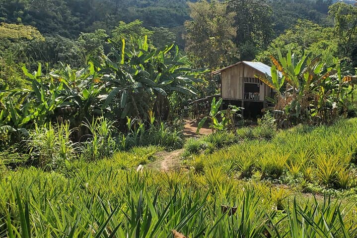 3-Day Khmu Village & Forest Immersion near Luang Prabang photo 2