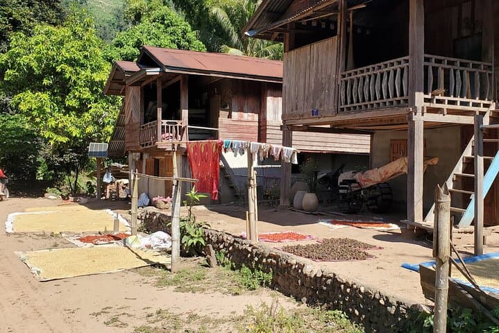 3-Day Khmu Village & Forest Immersion near Luang Prabang photo 3