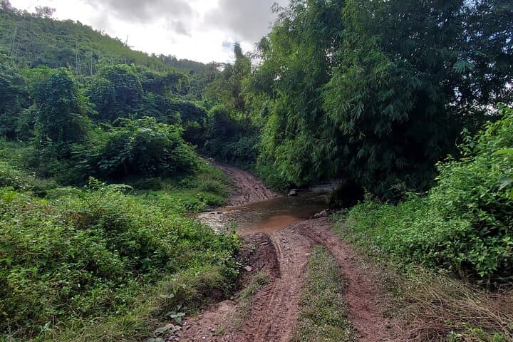 3-Day Khmu Village & Forest Immersion near Luang Prabang photo 4
