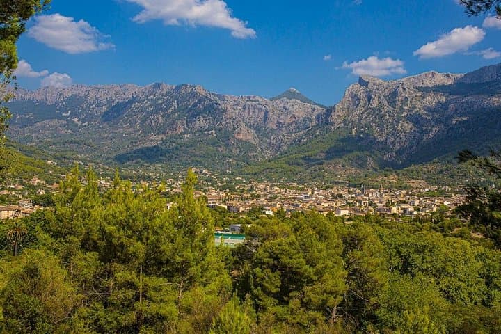 Soller Vintage Train & Tram Half-Day from Palma – Scenic Railway to Port de Soller photo 4
