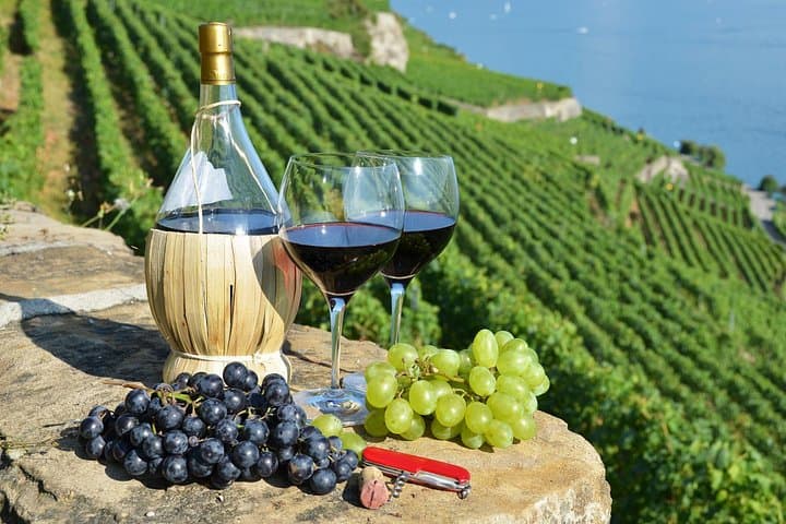 Cape Winelands Day Tour: Stellenbosch, Franschhoek & Paarl Wine Route photo 1