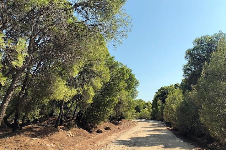 Coastal Road to Poseidon: Private Athens Riviera & Cape Sounion Tour photo 1