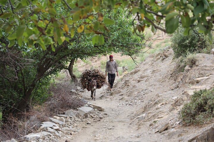 Ukhum Village Escape: 2-Day Rural Immersion from Samarkand