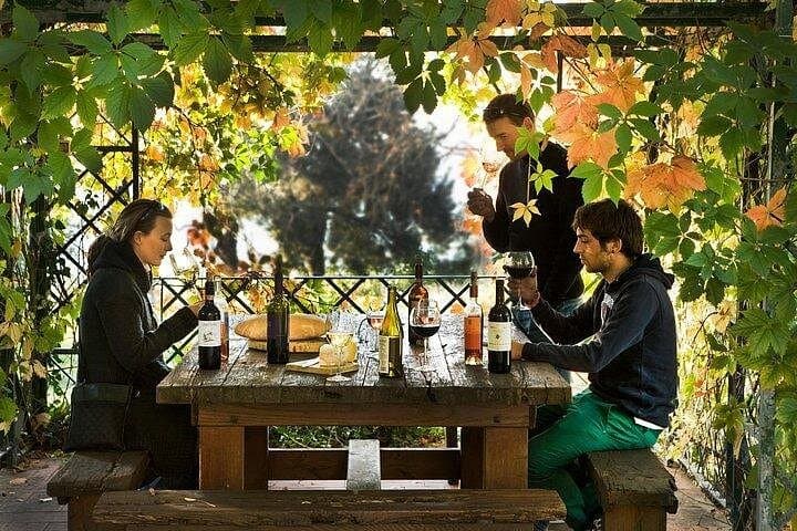 Organic Winery Tour and Tasting at Fattoria Lavacchio, Tuscany