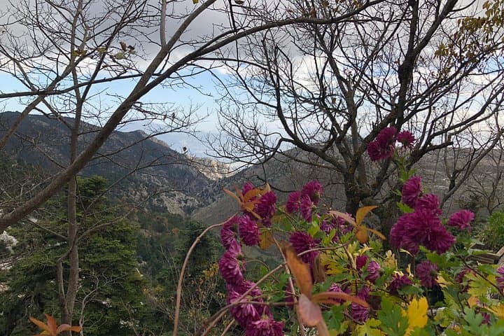 Half-Day Private Tour to Mount Parnitha and Mpafi Refuge from Athens