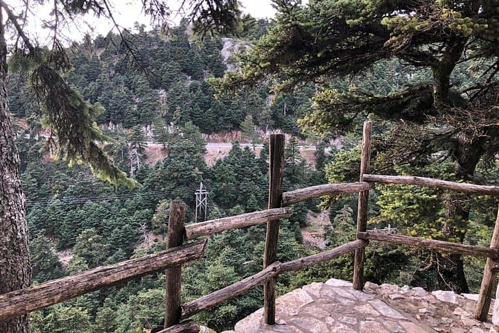 Half-Day Private Tour to Mount Parnitha and Mpafi Refuge from Athens photo 4