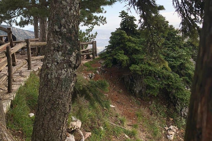 Half-Day Private Tour to Mount Parnitha and Mpafi Refuge from Athens photo 5