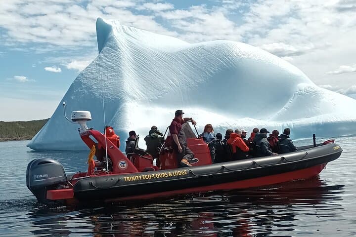 Zodiac Ocean Safari: Whale & Iceberg Watching in Newfoundland's UNESCO Discovery Geopark