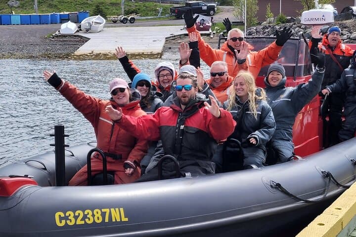 Zodiac Ocean Safari: Whale & Iceberg Watching in Newfoundland's UNESCO Discovery Geopark photo 2