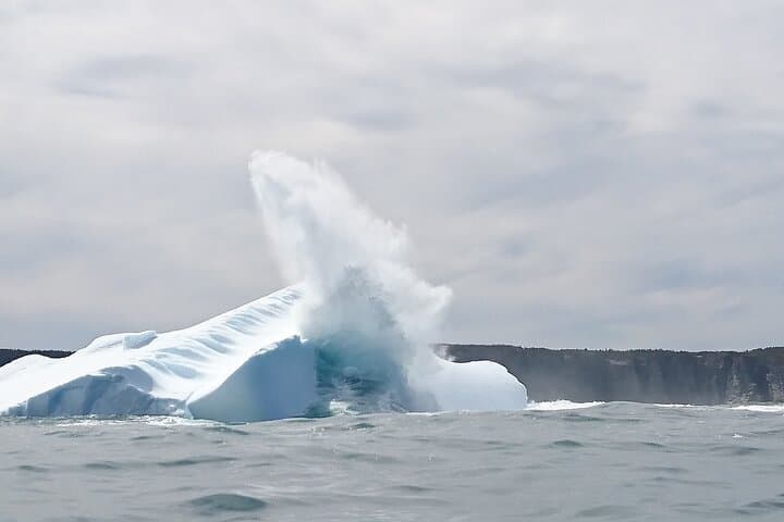 Zodiac Ocean Safari: Whale & Iceberg Watching in Newfoundland's UNESCO Discovery Geopark photo 4