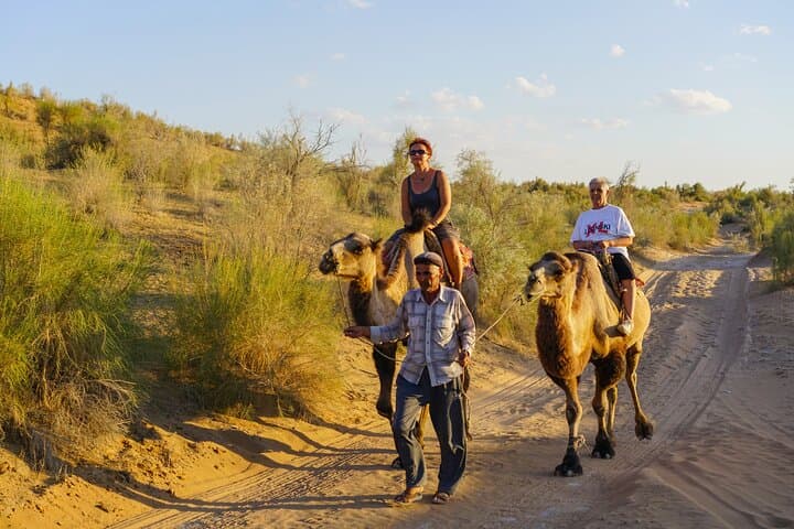 2-Day Desert Yurt Camp Tour from Bukhara: Nurata, Lake Aydarkul & Camel Ride photo 2