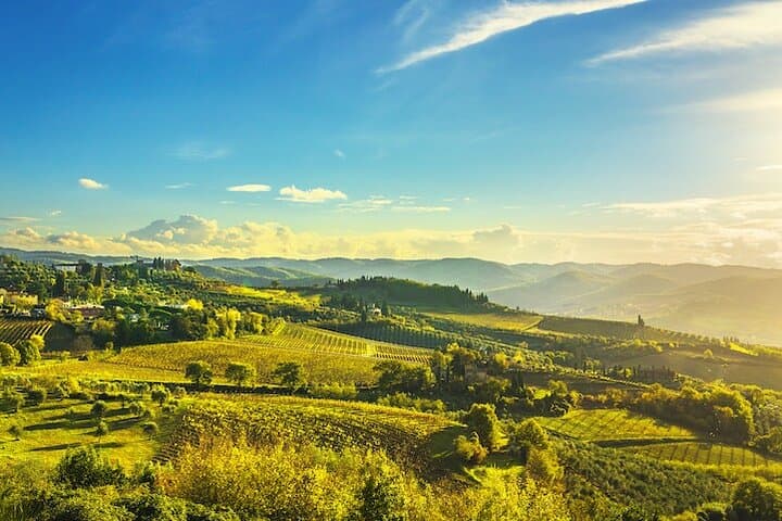 Three-Day Tuscany Wine Tour from Florence — Chianti, Bolgheri & Montalcino photo 6