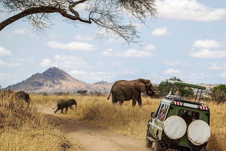 3-Day Fly-In Serengeti & Ngorongoro Safari from Zanzibar photo 1