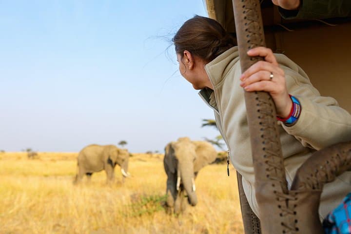 3-Day Fly-In Serengeti & Ngorongoro Safari from Zanzibar photo 4